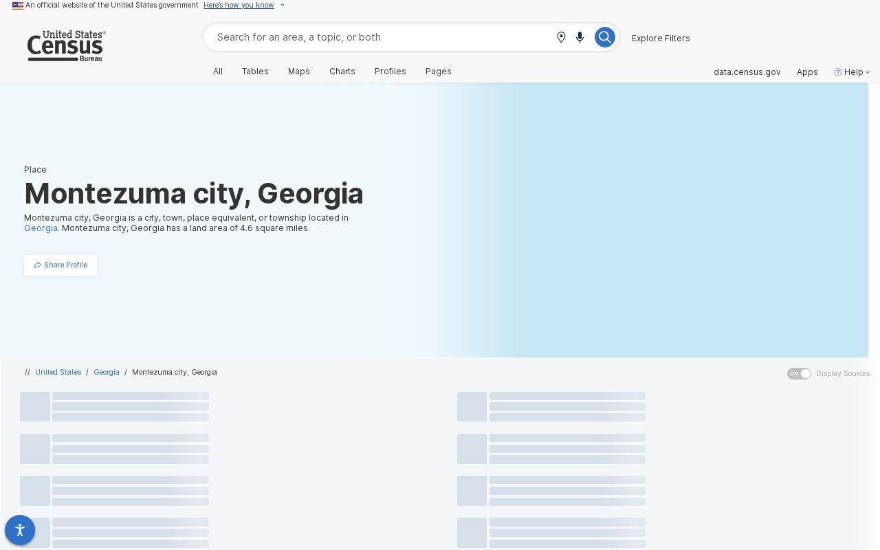 Official Census population profile for Montezuma, Georgia